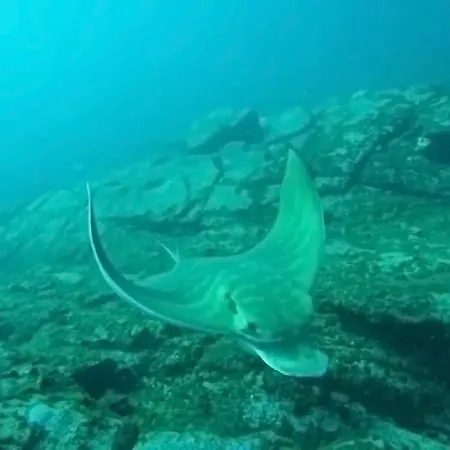 דירה Morada Sunset, Piscina Y Vistas A La Bahia Air Cond