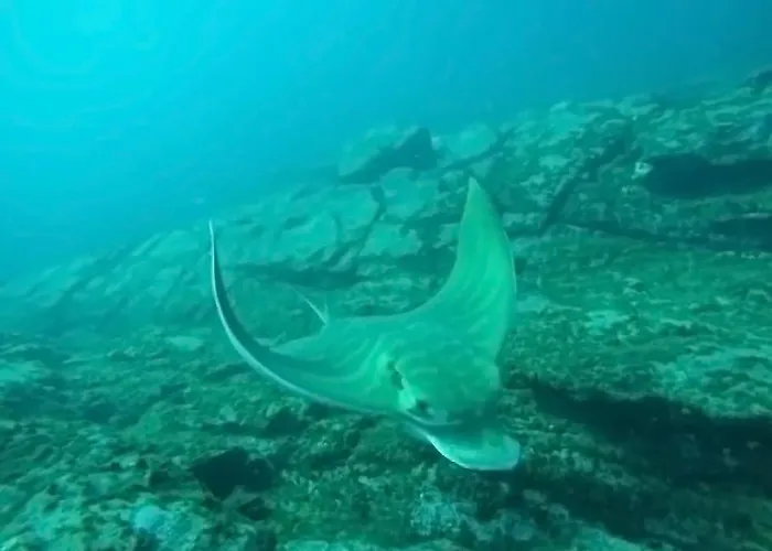 Appartamento Morada Sunset, Piscina Y Vistas A La Bahia Air Cond